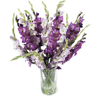 harvested flowers